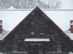 雪が降る