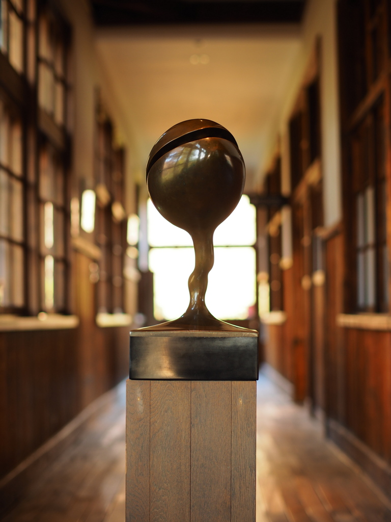 つやつやとしためばえ