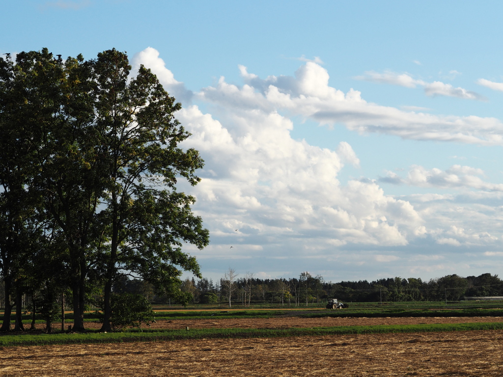 農の風景