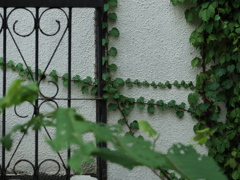 白と緑のcomposition