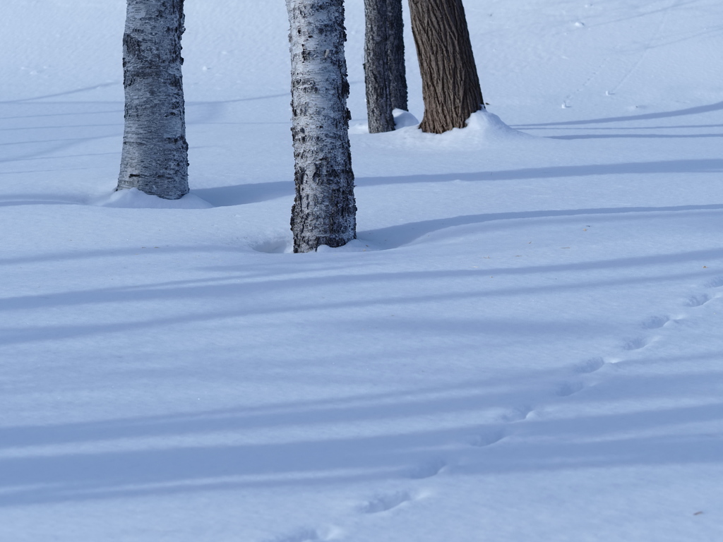 白のコンポジション