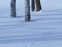 白のコンポジション