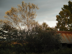 もうじき日が暮れる