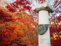 アンビシャスの秋