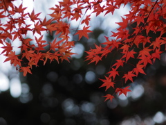 北広島・旧島松駅逓所