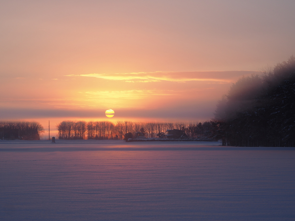 1/24　通勤風景　濃霧の手前