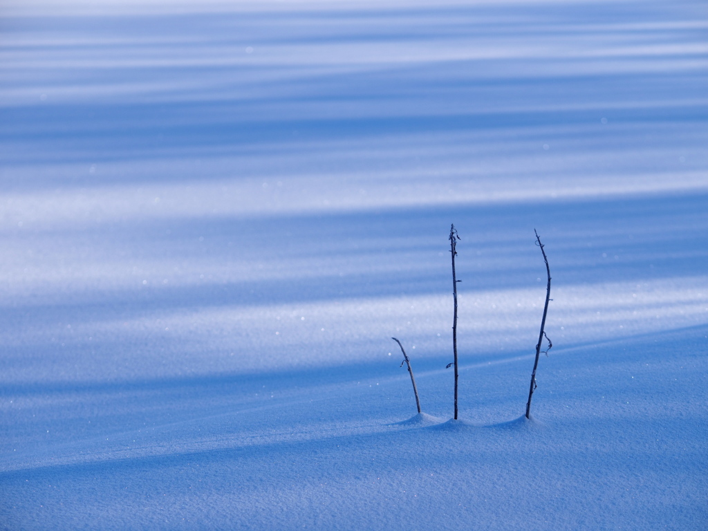 雪の静