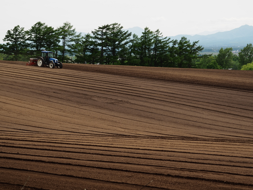 畝々トラクター