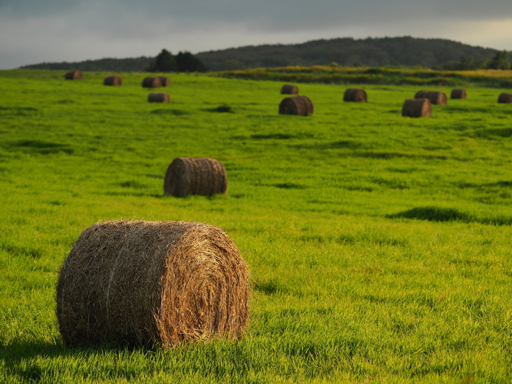 もうすぐ日が暮れる