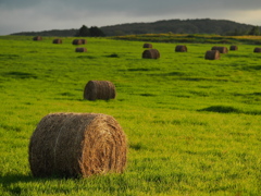 もうすぐ日が暮れる