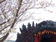 Godzilla&Sakura