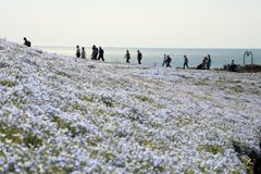 IMG_4137