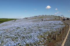 IMG_4128