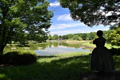 夏の公園