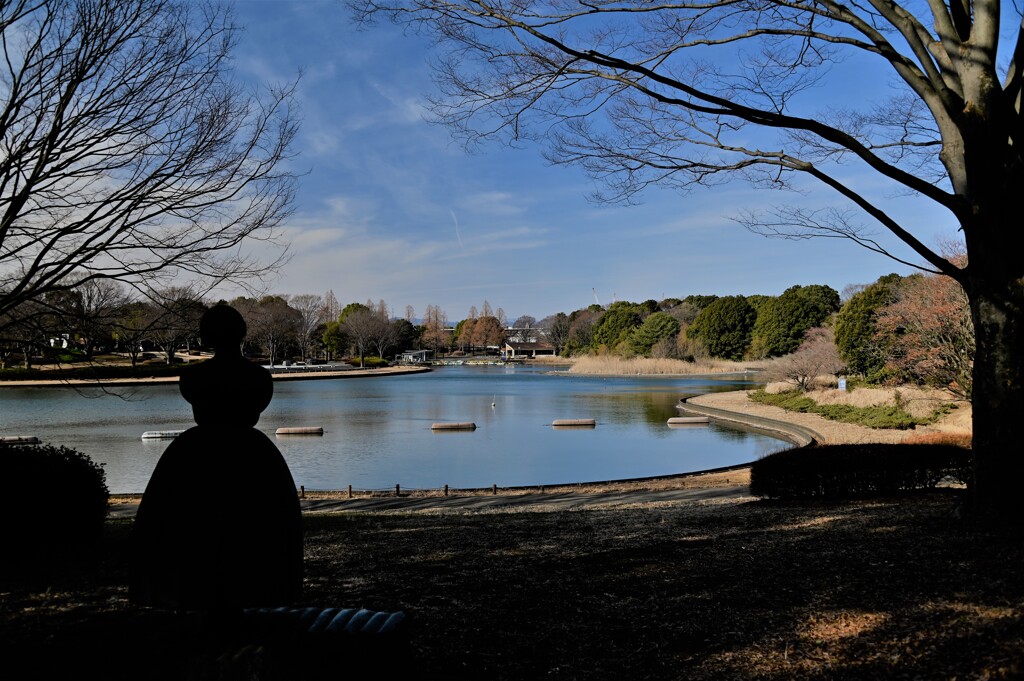 冬の公園