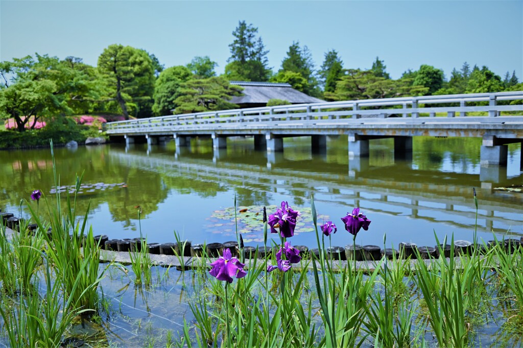 日本庭園