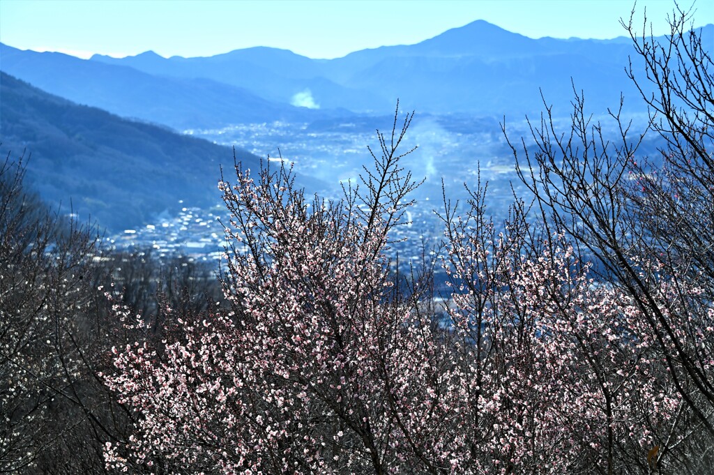秩父日和(2023初春）