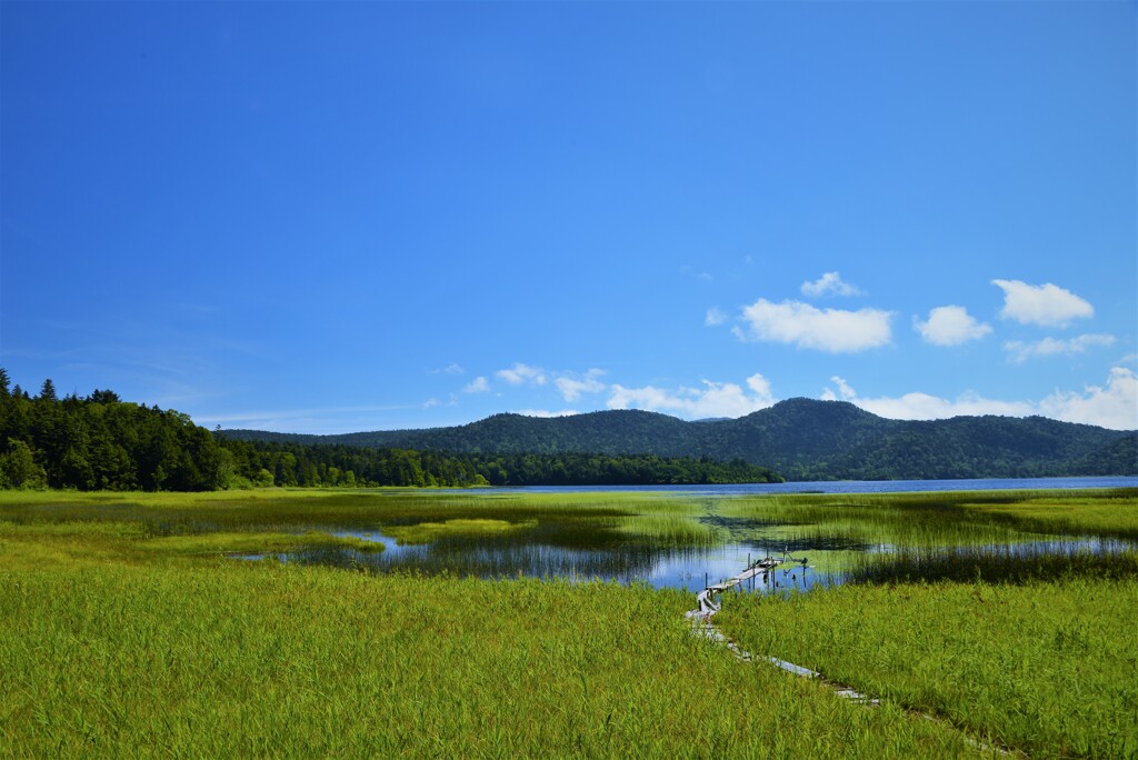尾瀬沼