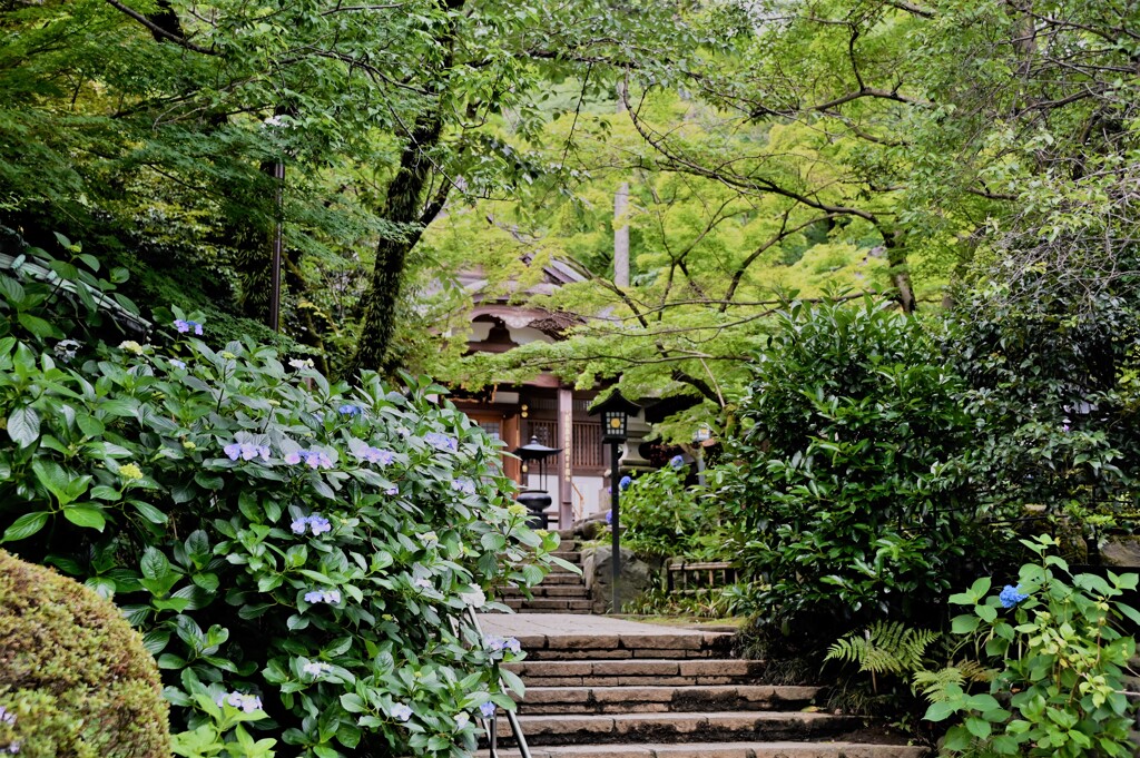 高幡不動