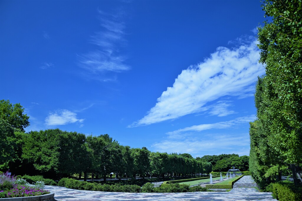 真夏日の公園