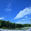 真夏日の公園