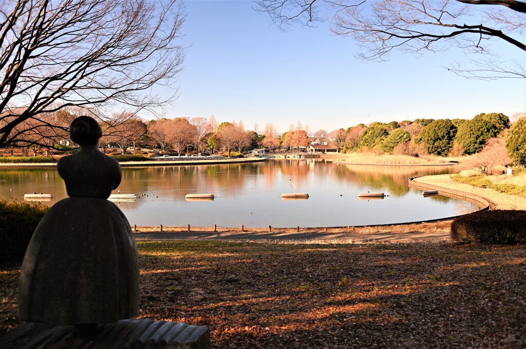 晩秋の公園