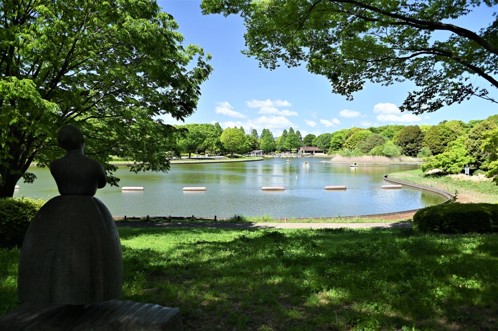 新緑の公園