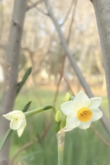 Spring is coming soon♪