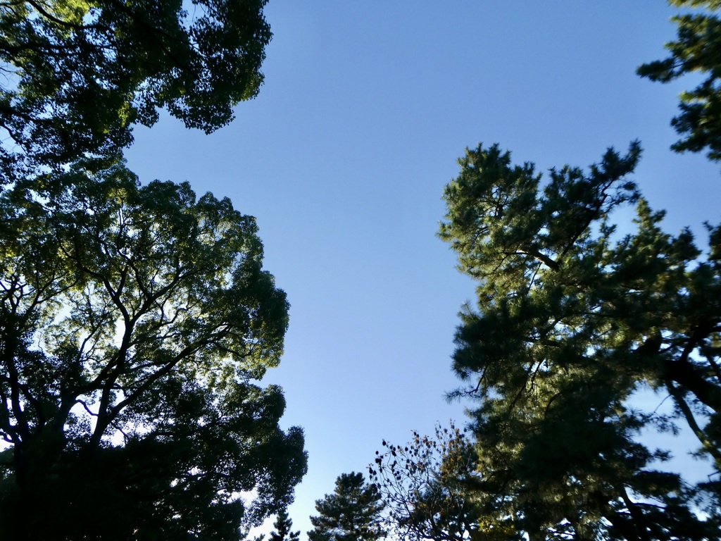 何か言ってる。