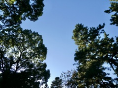 何か言ってる。