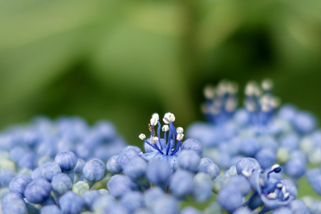 赤　青　黄色の青d(^_^o)