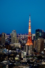 東京タワーと日没の空