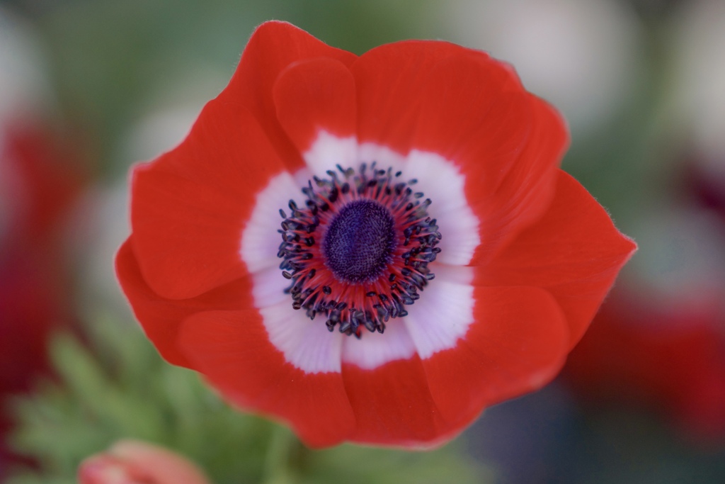 元気を出して（╹◡╹）