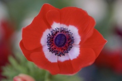 元気を出して(╹◡╹)