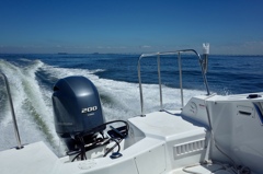 プレジャーボートって言います。