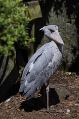 おぼえてる(^｡^)