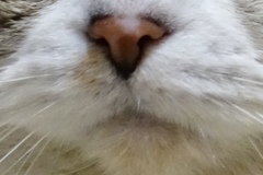 うふ（╹◡╹）