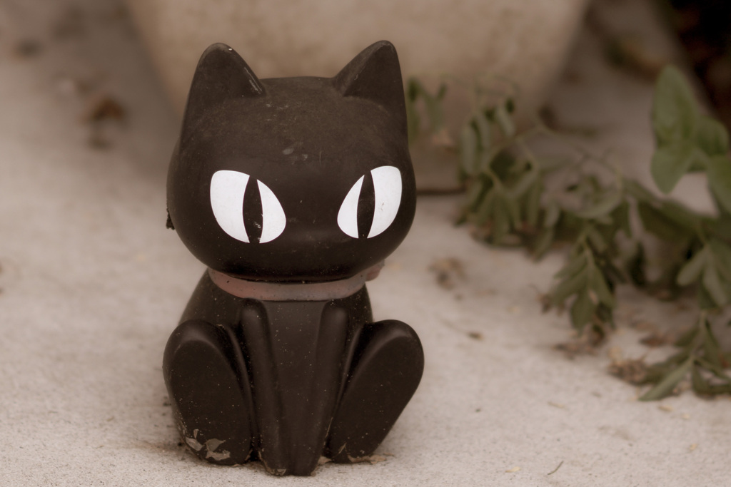 黒猫がいる家。