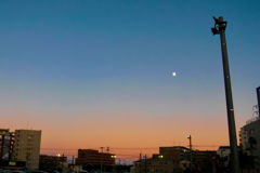 東の空のビーナスベルト