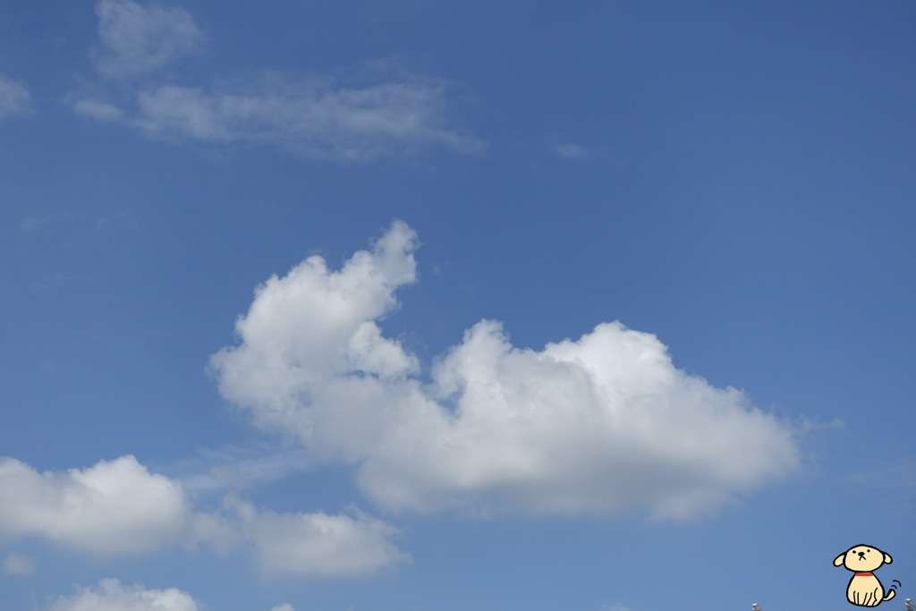 青空*\(^o^)/*