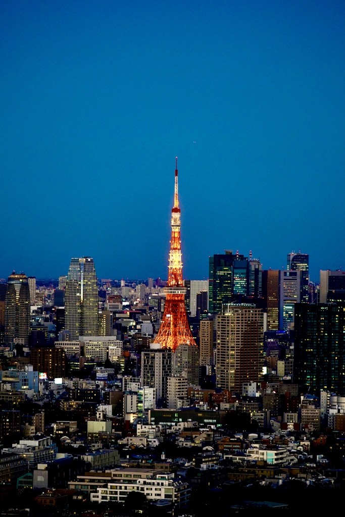 東京タワー(^ ^)