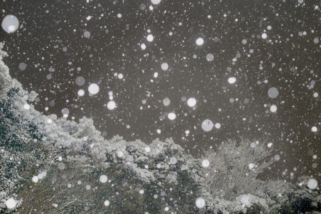 雪の降る夜☆