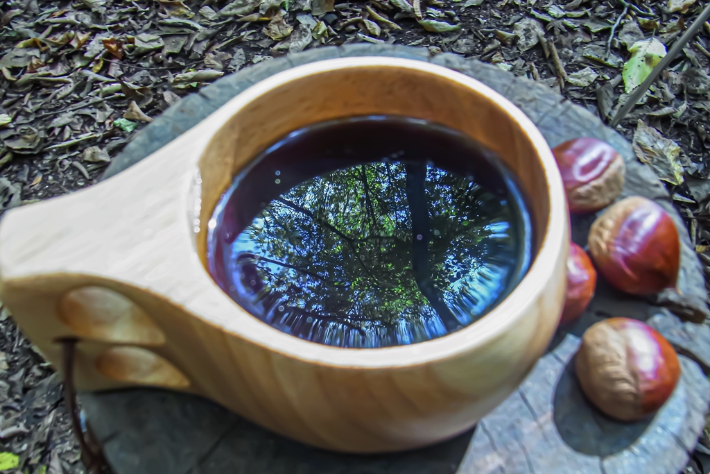 森の小さな喫茶店♪