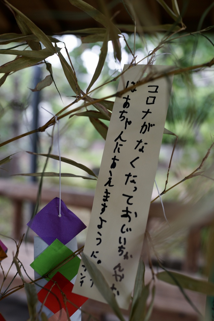 七夕