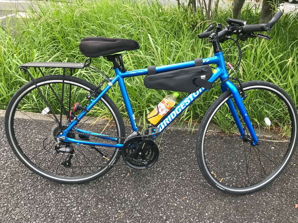 キャンプ仕様になったカワセミ君