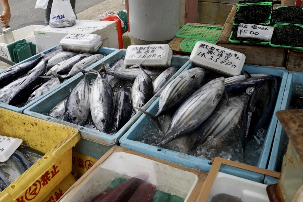 勝浦朝市