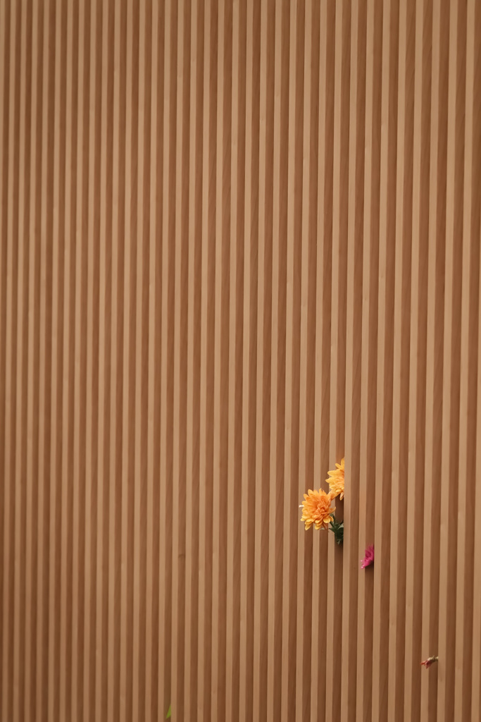 お花のきもち　わたしの気持ち