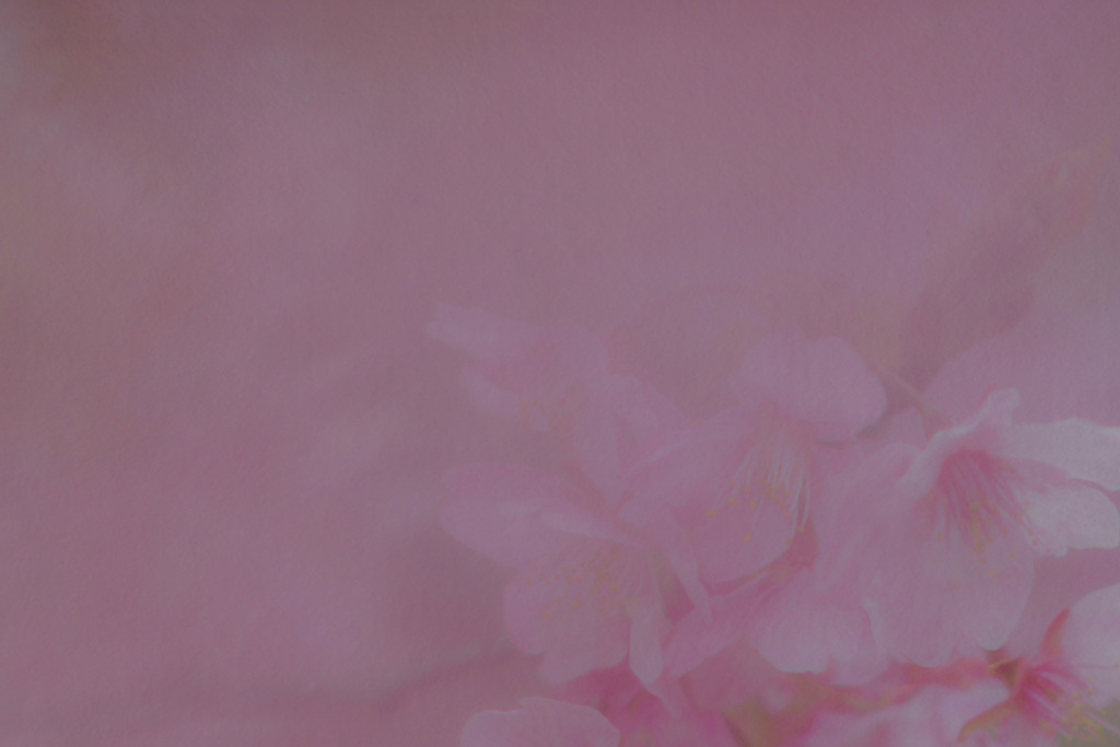 『さくらスケッチ』