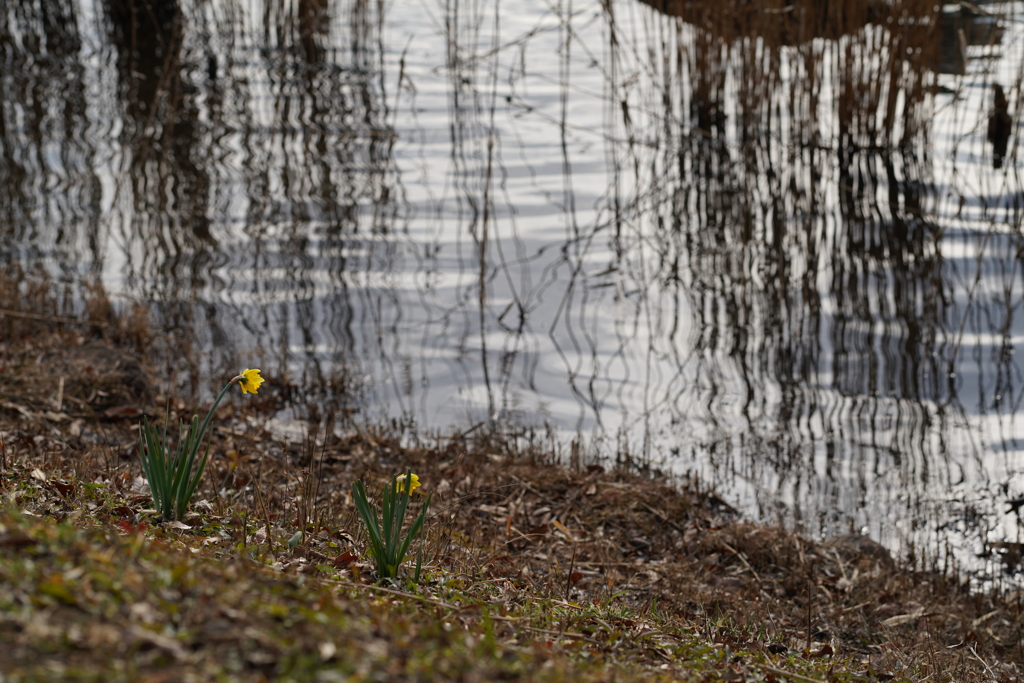 ねぇ、元気だしなよ