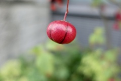つづく、、
